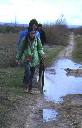 SS 1981 06