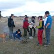 SS 2008 30 Hoguera 2008.