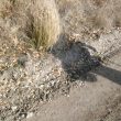 SS2008 5 Sombras.