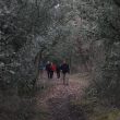 SS 2010 22 Encantados en el bosque.