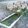 SS 2011 12 Fuente con vegetación y mucho frio.