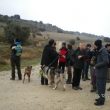 SS 2012 14 Al fondo se ve el camino hacia el sabinar.