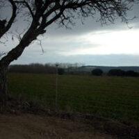 SS 2006 12 Paisaje.