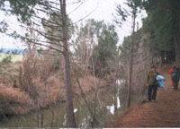 SS 2006 22 Volviendo por la margen izquierda. Había un tramo con un paso muy estrecho entre el canal y el Duero que daba mucho vértigo.