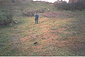 SS 2002 3 La Alamedilla en lo alto del valle.