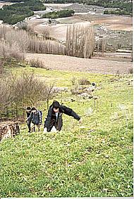 SS 2002 4 Subiendo.