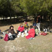 SS 2004 9 Comida soleada.