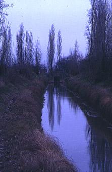 SS 1986 2 Acequia de Valladolid, del Canal del Duero.