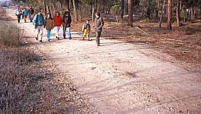 SS 1991 2 Marchando I.