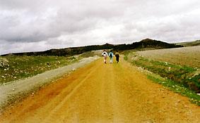 1993 17 Se hace camino al andar.