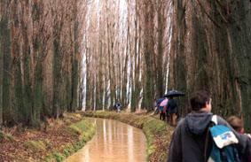 SS 1997 1 Marchando junto al Canal del Duero.
