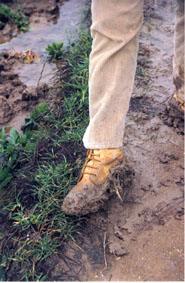 SS 1997 3 Pie de Pilar lleno de Barro.