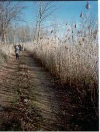 1999 3 Camino del canal.