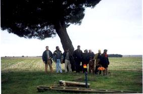 SS 2000 5 Pino momumental en el camino a hornillos.