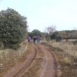 SS 2013 20 Marchando entre encinas.