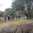 SS 2013 28 Marchistas camino de Las Dos Hermanas.