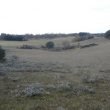 SS 2013 43 Los Corrales de Ramos.