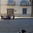 SS  2014  76 Chicos y perros en la plaza.