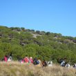 SS 2016 49 Marchando entre la loma con pinos y el arroyo.