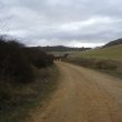 SS 2017 45 Panorama con caminantes, desde la fuente de Villafaldetas.