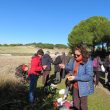 SS 2019 24 Degustando las viandas del almuerzo: Nines, Santiago, Josete, etc.