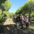 SS 2019 38 Caminando entre pinos: Lola. Pilar Z., Ana M., Josete, Luis, etc.