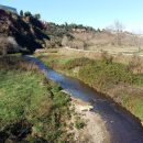 SS 2020 C 09 Cauce del rio Ripoll.