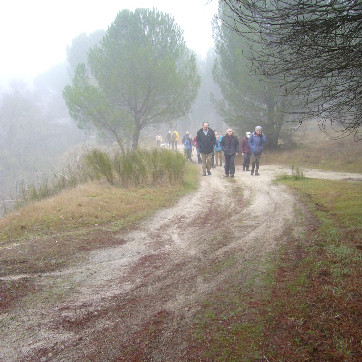 SS 2021 11 Marchistas llegando al borde alto del rio Adaja.