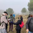 SS 2021 18 Otro descanso cerca de la carretera de Matapozuelos.