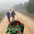 SS 2021 26 Otro selfi de Clara y sus supergafas.