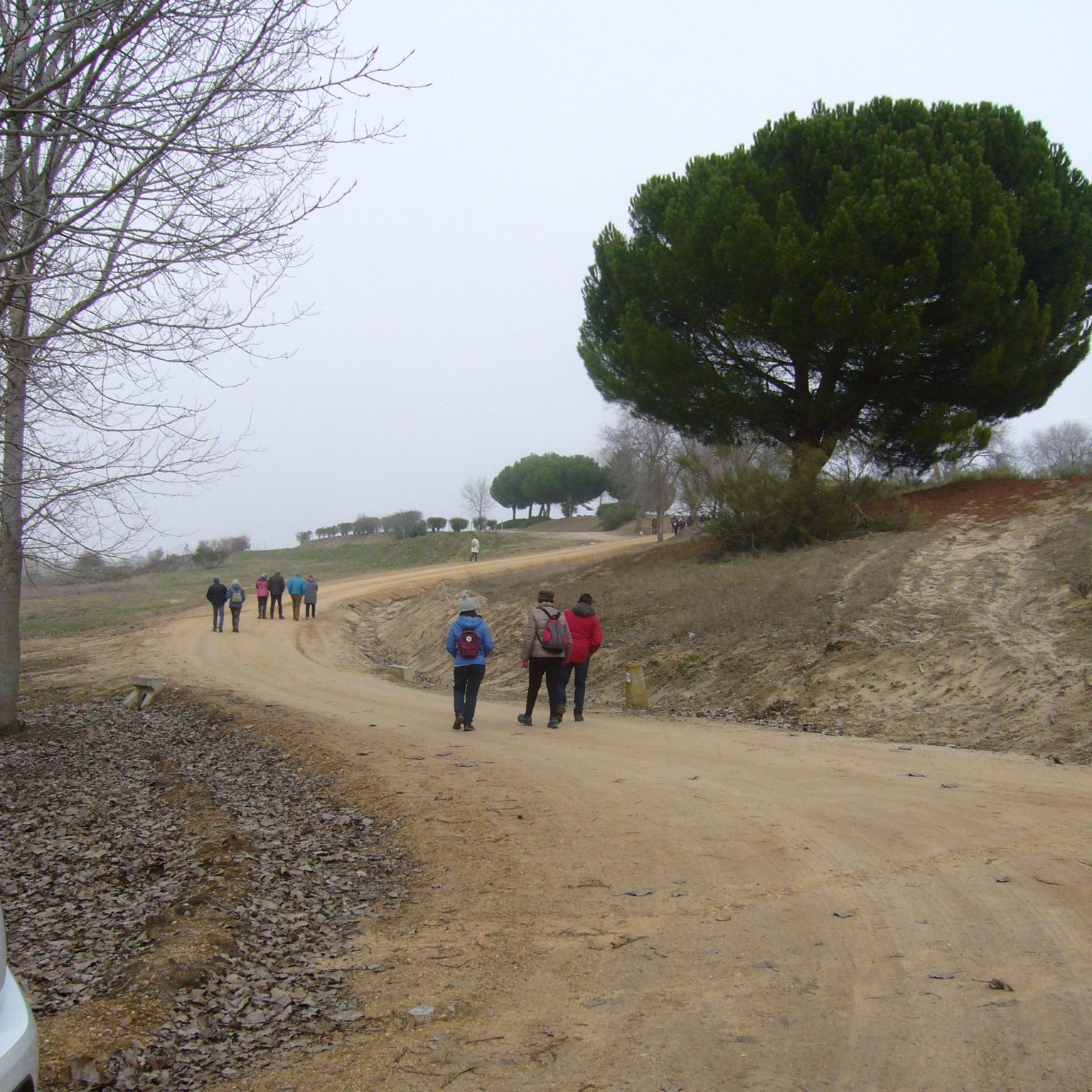 SS 2021 49 Marcha de la tarde. Caminando hacia la Ermita.