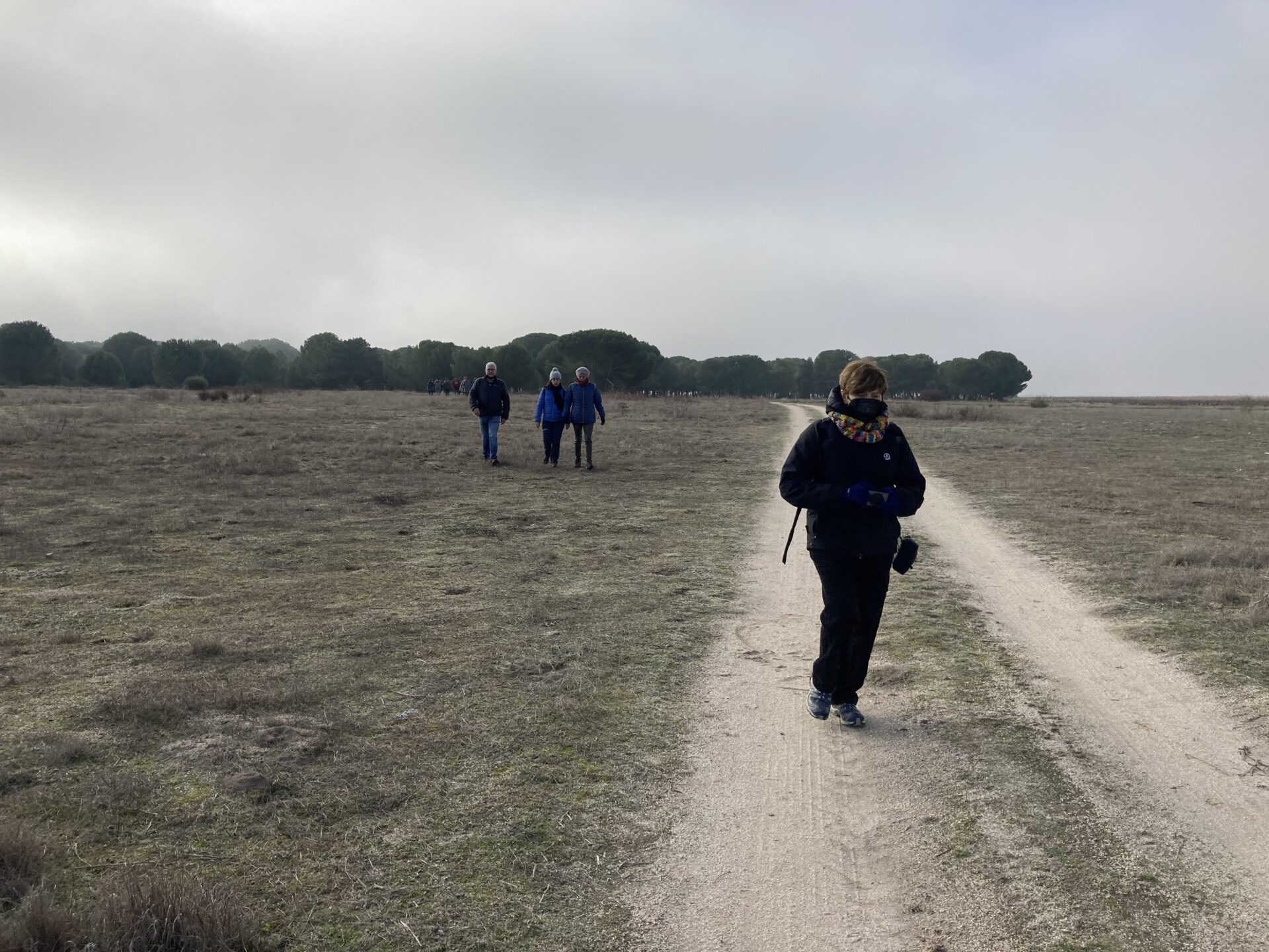 SS 2021 60 Caminando con los pinos al fondo.