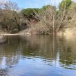 SS 2021 62 El rio Eresma.