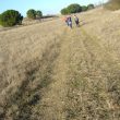 SS 2021 77 Caminantes disfrutando de la tarde soleada.