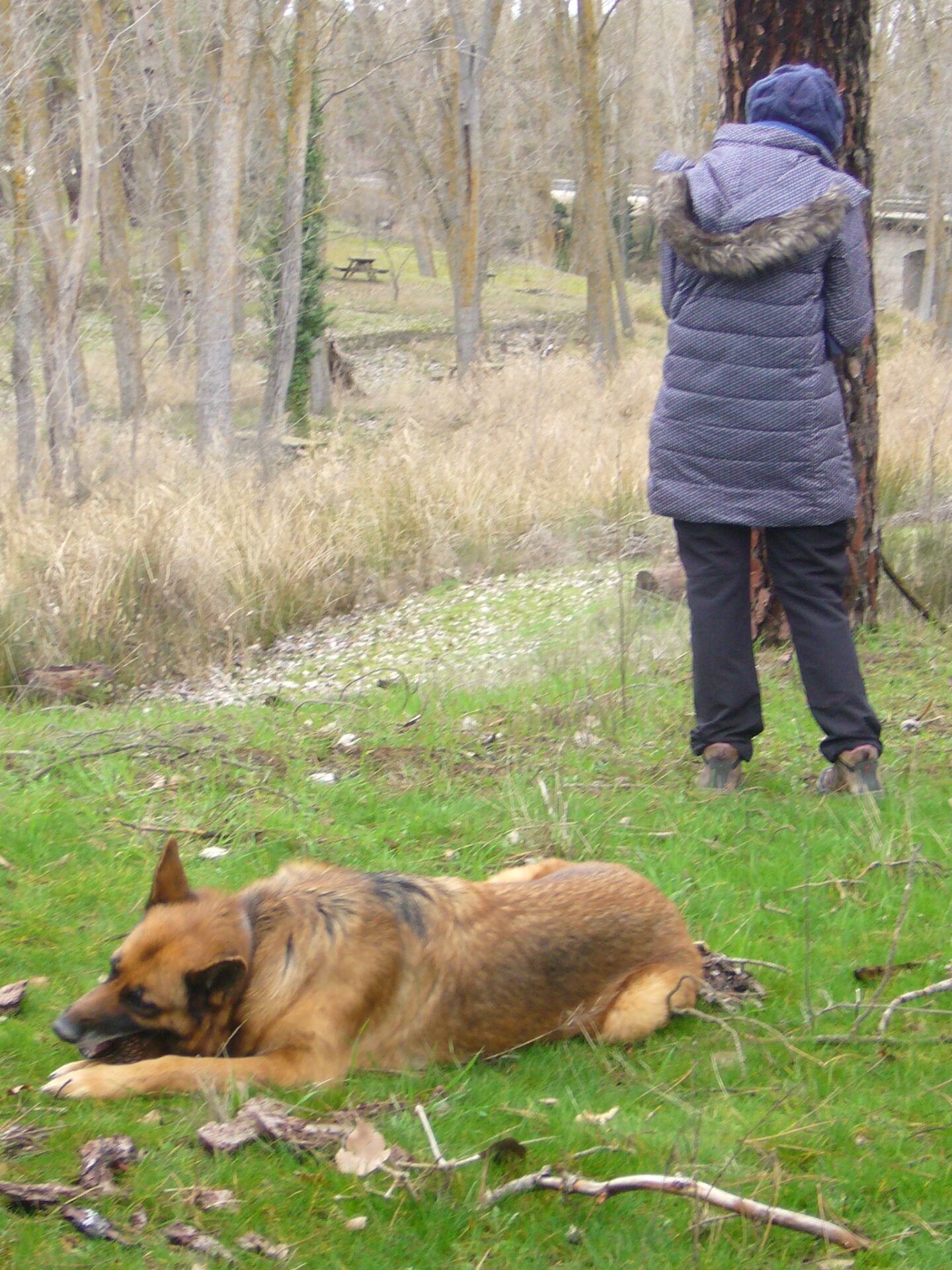 SS 2022 19 Xena descansando y Gwendo con el teléfono.