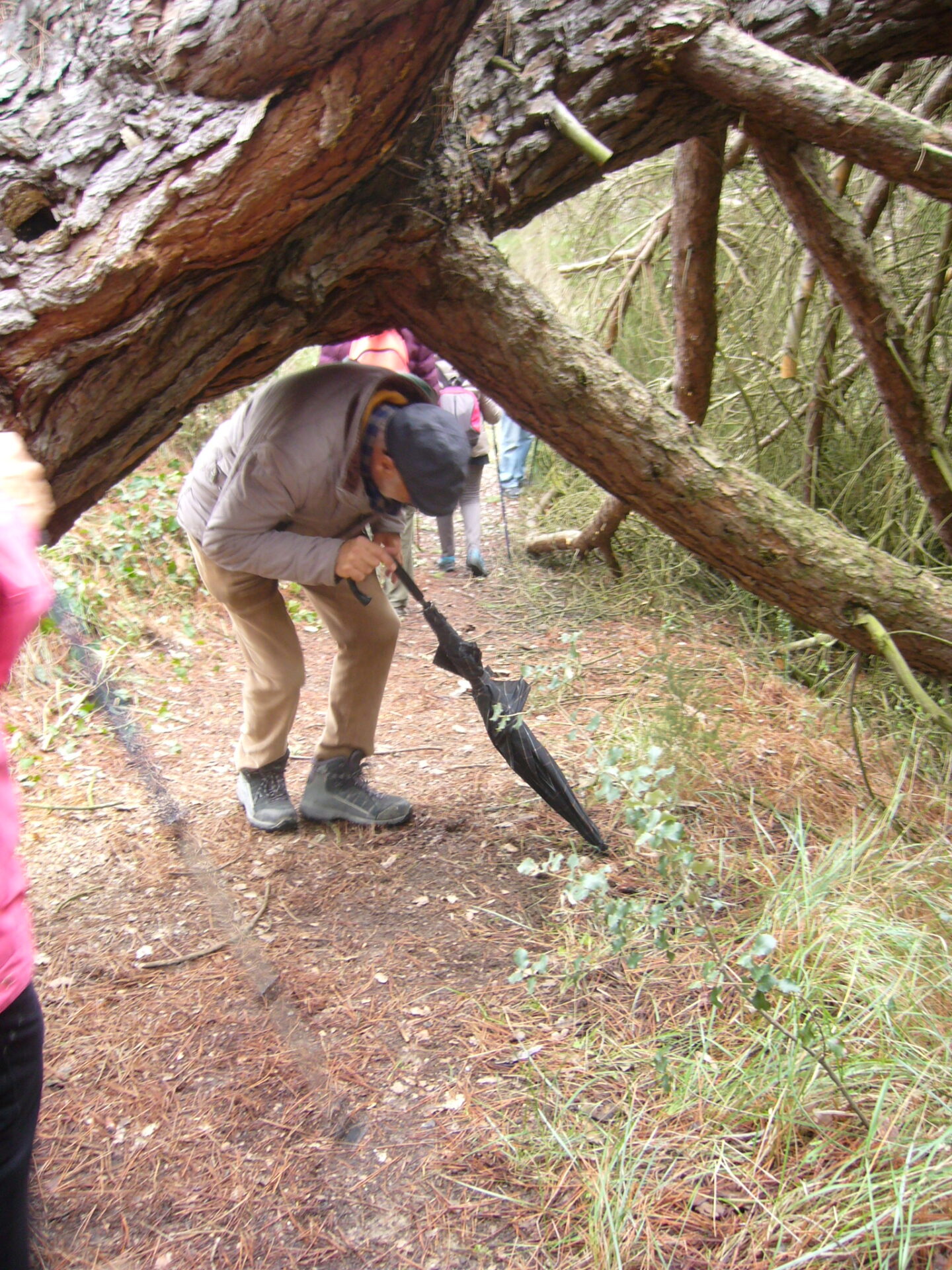 SS 2022 32 Daniel pasa por debajo del árbol caído.