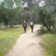 SS 2023 15. Marchistas caminando.