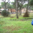 SS 2023 23 Santi en el entorno del Sanatorio Antituberculoso.