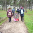 SS 2023 28 La mañana va aclarando.