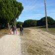 SS 2023 43 Regresando a Viana.
