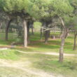 SS 2023 49 Las ultimas marchistas.