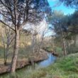 SS 2023 52 El rio Cega en el Área recreativa de Peñalta, donde tuvo lugar la comida.