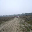 SS 2024 22 Marchando por el camino.