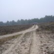 SS 2024 23 Cruce con un nuevo camino.