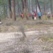 SS 2024 26 Parada, algunos miran los troncos de los pinos…
