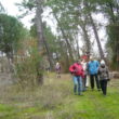 SS 2024 43 Marchando de nuevo.