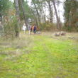 SS 2024 44 En una zona de mesas y piedras,.