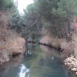 SS 2024 52 El Canal del Duero.