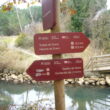 SS 2024 55 Indicadores al borde del Canal.