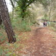 SS 2024 58 La marcha continua por un sendero entre el Rio Duero y el Canal del Duero.